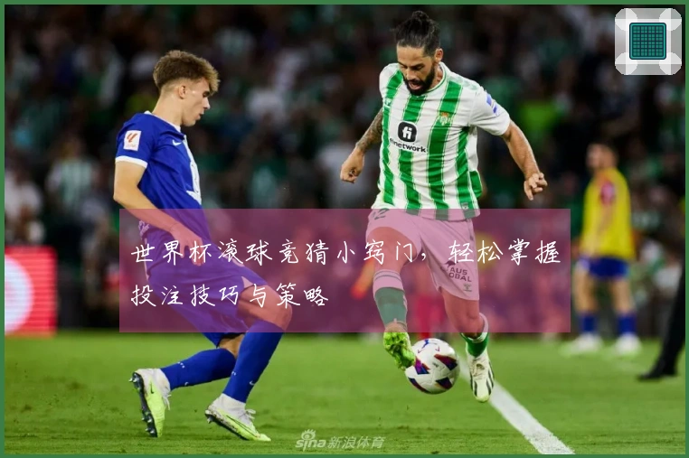 世界杯滚球竞猜小窍门，轻松掌握投注技巧与策略