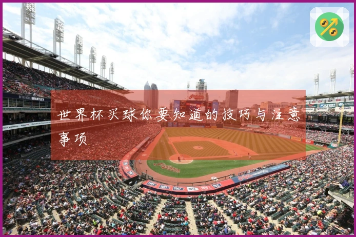 世界杯买球你要知道的技巧与注意事项