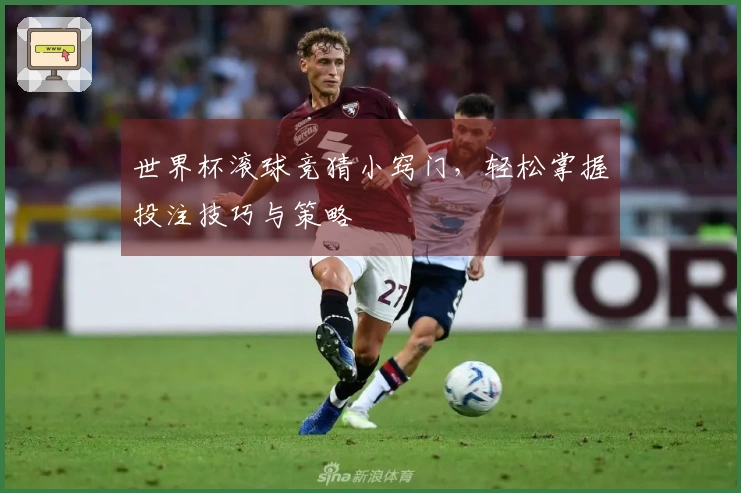 世界杯滚球竞猜小窍门，轻松掌握投注技巧与策略