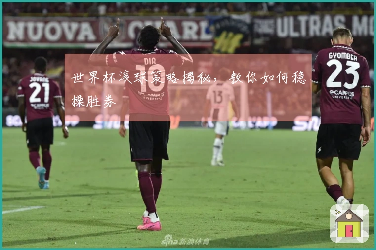 世界杯滚球策略揭秘，教你如何稳操胜券