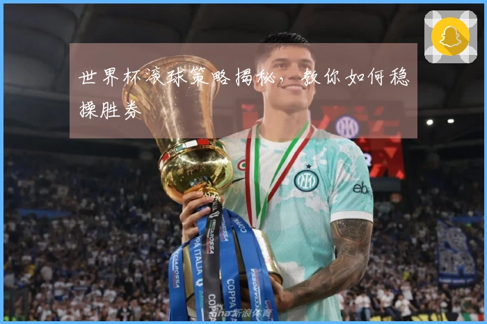 世界杯滚球策略揭秘，教你如何稳操胜券