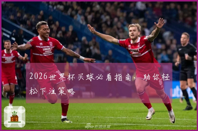 2026世界杯买球必看指南，助你轻松下注策略